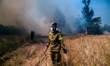 Ρόδος: Αγώνα για να σβήσουν τις αναζωπυρώσεις κάνουν οι πυροσβέστες