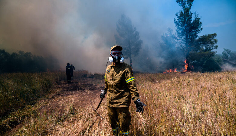 Φωτιά στη Σαλαμίνα: «Μάχη» να περιοριστεί και στον λόφο Πατρίς –  Σε ύφεση οι άλλες δύο εστίες
