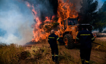 Σε εξέλιξη δύο πυρκαγιές σε αγροτική και δασική έκταση στο Σουφλί του Έβρου