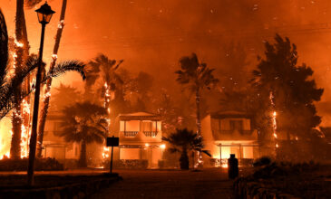 Φωτιά στον Σχίνο Κορινθίας: Δραματικές εικόνες από τον πύρινο εφιάλτη