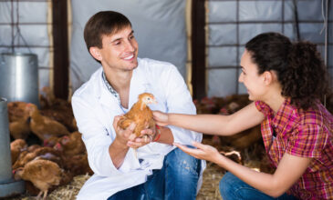 «Μην αγκαλιάζετε τις κότες σας» συστήνουν οι Αμερικανικές υγειονομικές αρχές