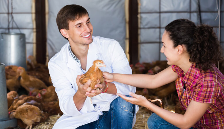 «Μην αγκαλιάζετε τις κότες σας» συστήνουν οι Αμερικανικές υγειονομικές αρχές