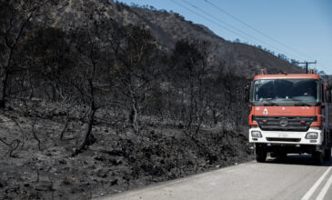 Φωτιά Σχίνος Κορινθίας: Όλες οι καμένες εκτάσεις κηρύσσονται αναδασωτέες – Τα μέτρα στήριξης των πληγέντων