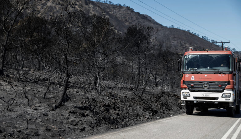 Φωτιά Σχίνος Κορινθίας: Όλες οι καμένες εκτάσεις κηρύσσονται αναδασωτέες – Τα μέτρα στήριξης των πληγέντων
