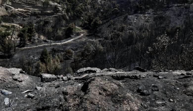 Φωτιά Σχίνος Κορινθίας: Έγιναν στάχτη πάνω από 70.000 στρέμματα