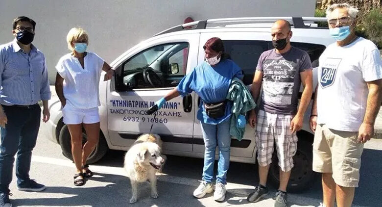 Απεγκλώβισαν σκύλο από το τούνελ της Γορίτσας