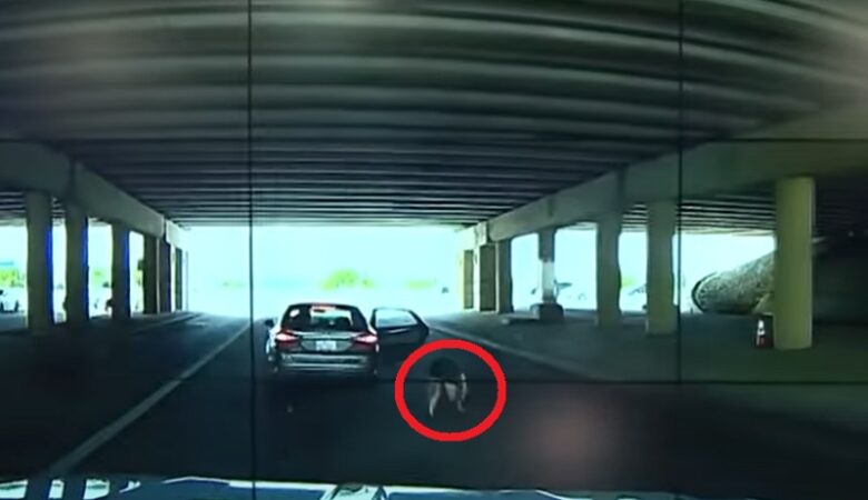 Κάμερα κατέγραψε γυναίκα να πηδά από αυτοκίνητο επειδή την κακοποιούσε ο άνδρα της