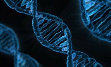 Βρέθηκαν αναπάντεχα 155 γονίδια στο ανθρώπινο γονιδίωμα