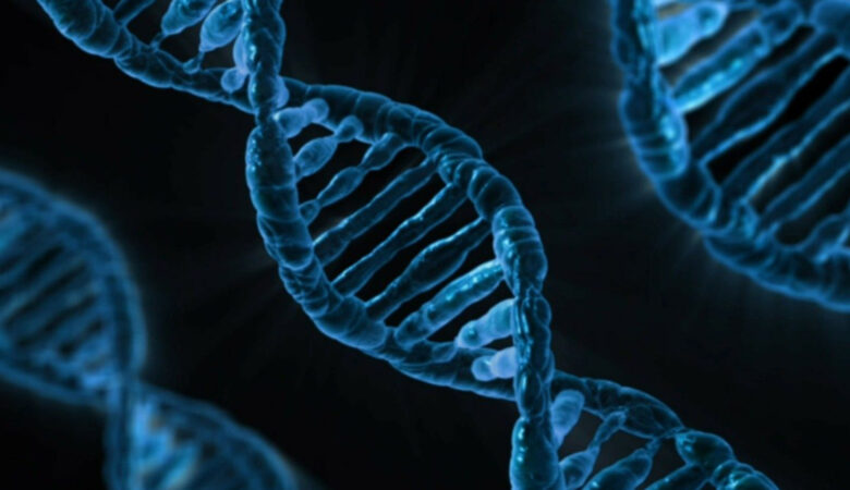 Βρέθηκαν αναπάντεχα 155 γονίδια στο ανθρώπινο γονιδίωμα