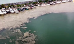 Επικίνδυνη γλίτσα «πνίγει» τη θάλασσα του Μαρμαρά – «Καμπανάκι» από τους επιστήμονες