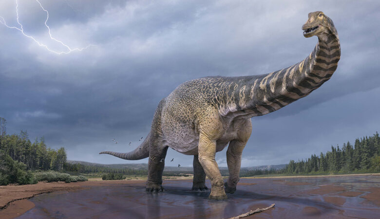 Ανακαλύφθηκε ο δεινόσαυρος «Αυστραλοτιτάν» – Eίχε μήκος όσο ένα γήπεδο μπάσκετ  και ύψος 2 ορόφων
