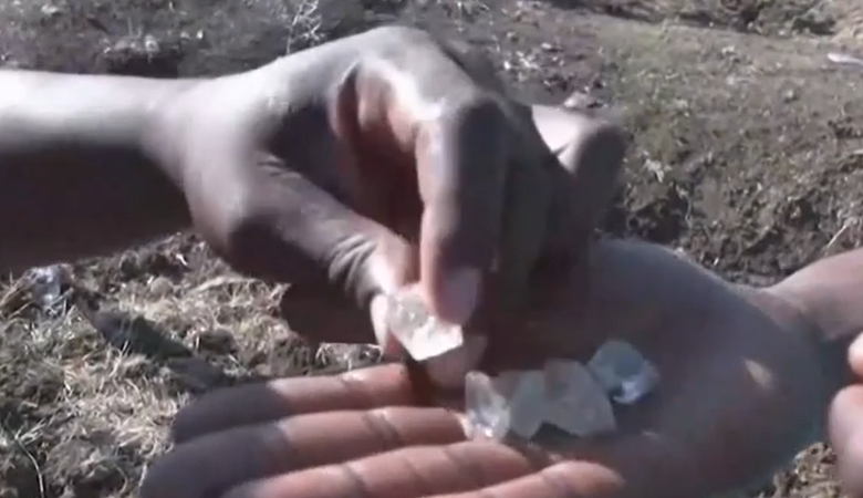 Κυνηγοί θησαυρού στη Νότια Αφρική για τα πράσινα διαμάντια – Δείτε βίντεο