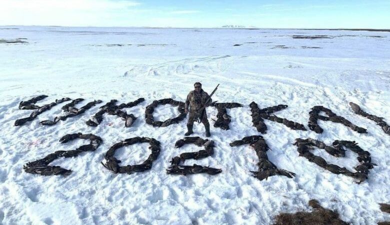 Βαναυσότητα Ρώσου βουλευτή που φωτογραφήθηκε με φόντο εκατοντάδες νεκρές πάπιες