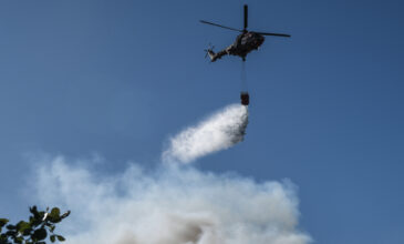 Φωτιά στον Βόλο – Σηκώθηκαν δύο αεροσκάφη και ένα ελικόπτερο