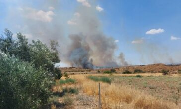 Κύπρος: Νέα φωτιά στη Λευκωσία – Απειλούνται κατοικίες