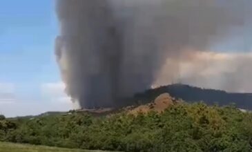 Πυρκαγιά σε δασική έκταση στη Λευκίμμη Έβρου