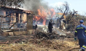Πυρκαγιά στο Βόλο έκαψε σπίτι, αποθήκη και ζώα