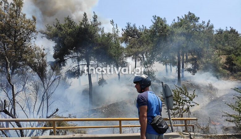 Φωτιά στο Σέιχ Σου: Μάχη με τις φλόγες δίνουν οι πυροσβέστες – Οι πρώτες εικόνες