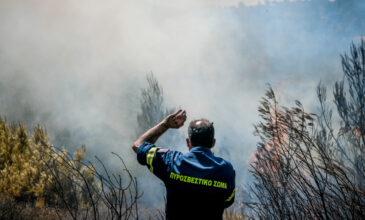 Πολύ υψηλός κίνδυνος πυρκαγιάς την Πέμπτη – «Καμπανάκι» σε 3 περιφέρειες