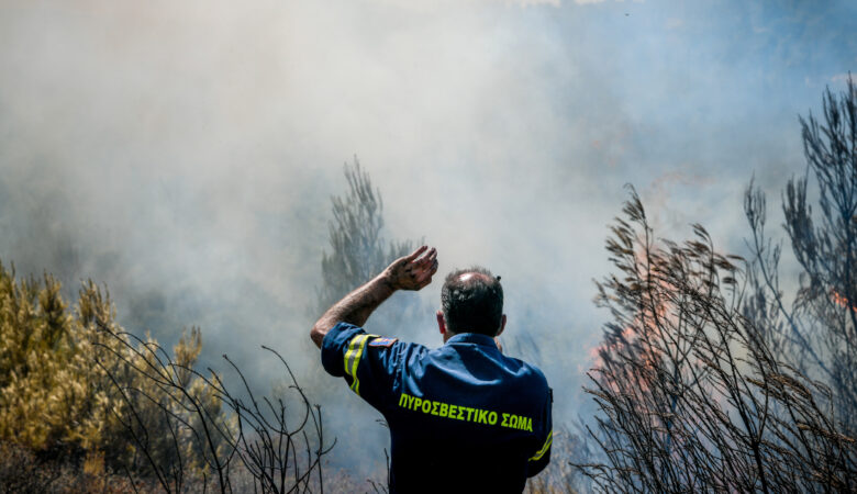 Μεσσηνία: Αναζωπύρωση της φωτιάς στο Βασιλίτσι – Κινδυνεύουν σπίτια, εκκενώθηκε οικισμός
