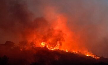 Μεγάλη φωτιά στην Αχαΐα: Εσπευσμένα στην περιοχή ο Νίκος Χαρδαλιάς