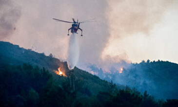 Μεγάλη φωτιά στη Φθιώτιδα: Οι φλόγες κυκλώνουν τα σπίτια στον Θεολόγο – Εκκενώνεται ο οικισμός