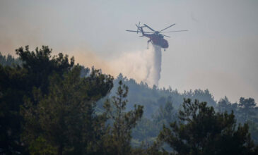 Κρήτη: Φωτιά στο δάσος της Κέρης