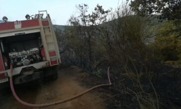 Υπό έλεγχο τέθηκε η πυρκαγιά στην Μαγνησία