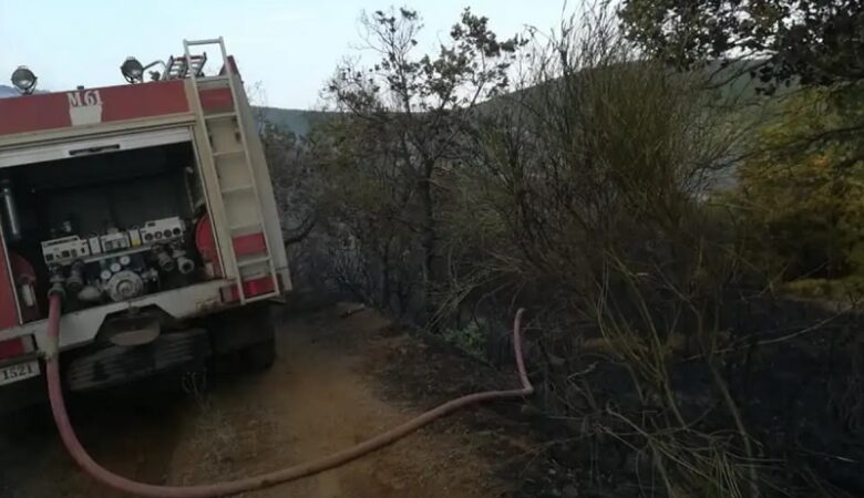 Υπό έλεγχο τέθηκε η πυρκαγιά στην Μαγνησία