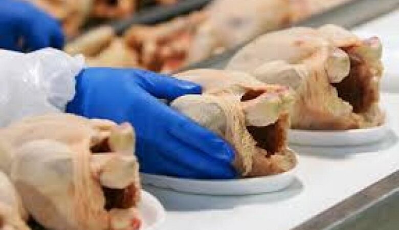 Αποσύρθηκαν 34,5 τόνοι κοτόπουλων που προωθήθηκαν στην αγορά ως δήθεν βιολογικά