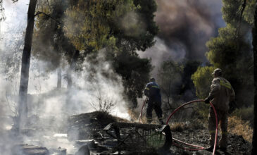 Φωτιά στην Κορινθία: Καλύτερη η εικόνα από το μέτωπο – Συνεχίζεται η μάχη με τις φλόγες