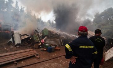 Μεγάλη φωτιά στη Σταμάτα Αττικής: Νέο μήνυμα του 112 στους κατοίκους – Μέσα στα σπίτια οι φλόγες