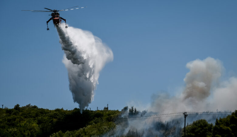 Φωτιά στη Μεσσηνία: Συνεχίζεται η μάχη με τις φλόγες – Στον αέρα δύο αεροπλάνα και ένα ελικόπτερο
