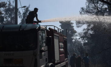 Αναζωπυρώσεις: Άμεση αντίδραση των πυροσβεστικών δυνάμεων σε Γορτυνία, Ηλεία και Ανατολική Μάνη