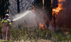 Φωτιά σε δασική έκταση στον Αστακό Αιτωλοακαρνανίας