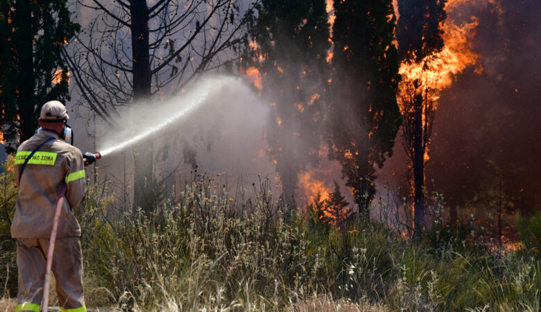 Πυρκαγιά σε δασική έκταση στα Μέγαρα