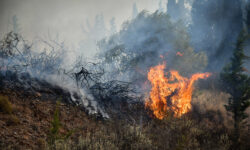 Ιωάννινα: Νέα πυρκαγιά ξέσπασε στο Μιτσικέλι