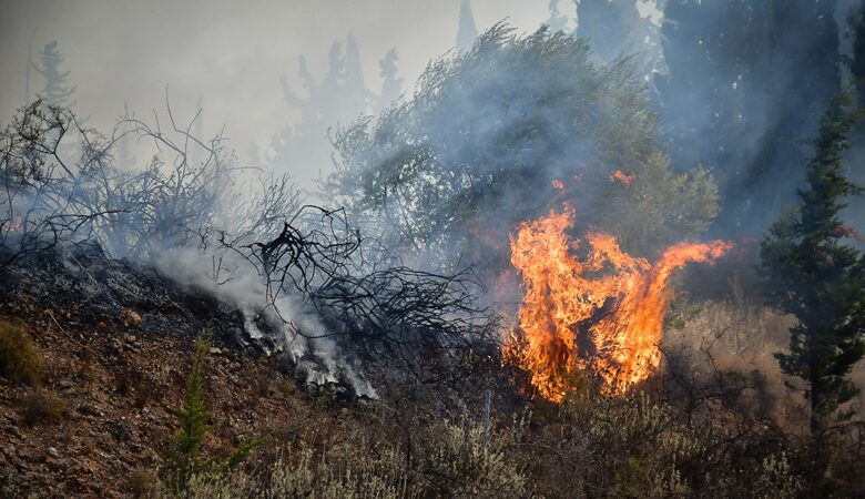 Υπό μερικό έλεγχο η φωτιά σε δασική έκταση στον Παρθενώνα Χαλκιδικής