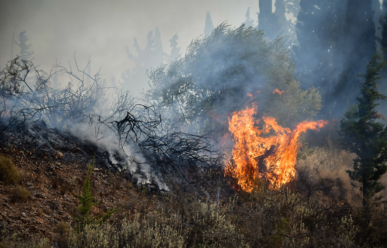 Πυρκαγιά από την Αλβανία πέρασε τα σύνορα στη Θεσπρωτία