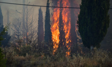 Κέρκυρα: Υπό μερικό έλεγχο η φωτιά στο Χαλικούνα