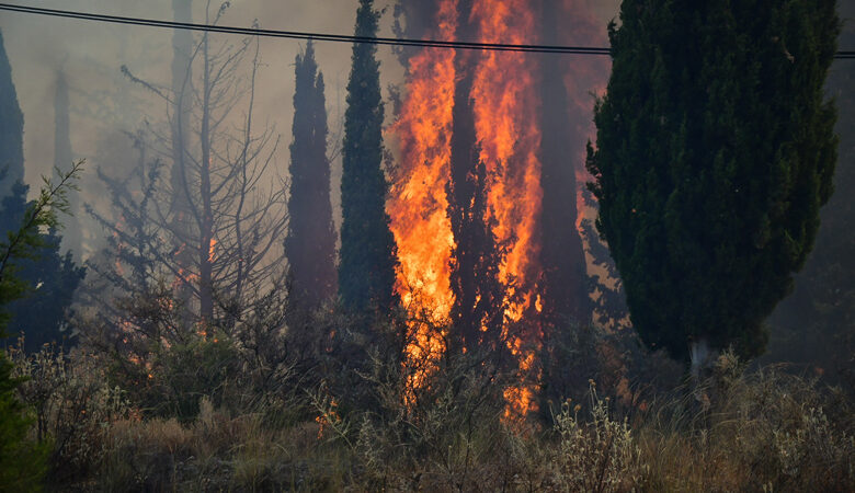 Φωτιά σε δασική έκταση στην περιοχή Άμπελα της Ανατολικής Μάνης