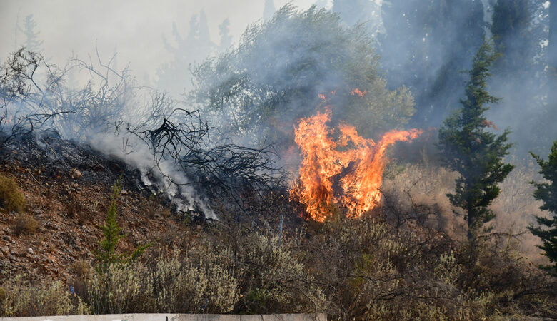 Κόρινθος: Υπό μερικό έλεγχο η φωτιά στην περιοχή Στεφάνι