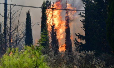 Φωτιά στο Λουτράκι: Μήνυμα του 112 για εκκένωση των περιοχών Καλαμάκι Ισθμίων και Παράδεισος