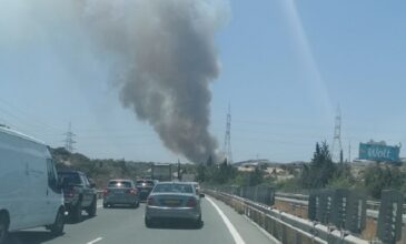 Σε πύρινο κλοιό η Κύπρος – Τρεις πυρκαγιές σε εξέλιξη