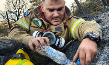 Φωτιά στην Αχαΐα: Viral η εικόνα με τον πυροσβέστη που δίνει νερό σε χελώνα