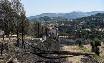 ΣΥΡΙΖΑ: Μεγάλες οι ευθύνες ολιγωρίας στην φωτιά της Αιγιαλείας