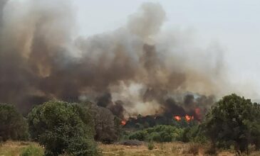 Σε πύρινο κλοιό Αχαΐα, Ρόδος και Αγρίνιο – Κίνδυνος πυρκαγιάς σχεδόν σε όλη τη χώρα την Δευτέρα