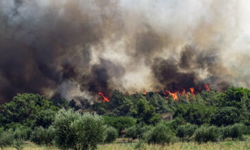Φωτιά στη Ρόδο: Κατεπείγον αίτημα για κήρυξη κατάστασης έκτακτης ανάγκης
