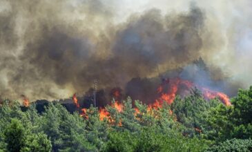 Μεγάλη φωτιά στη Ρόδο: Μάχη με τις αναζωπυρώσεις σε δύσβατη περιοχή