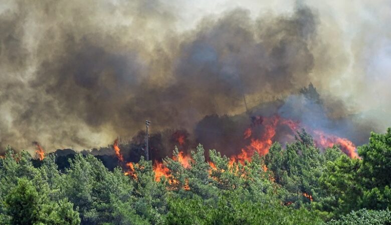 Πυρκαγιά σε αγροτοδασική έκταση στην Αργολίδα